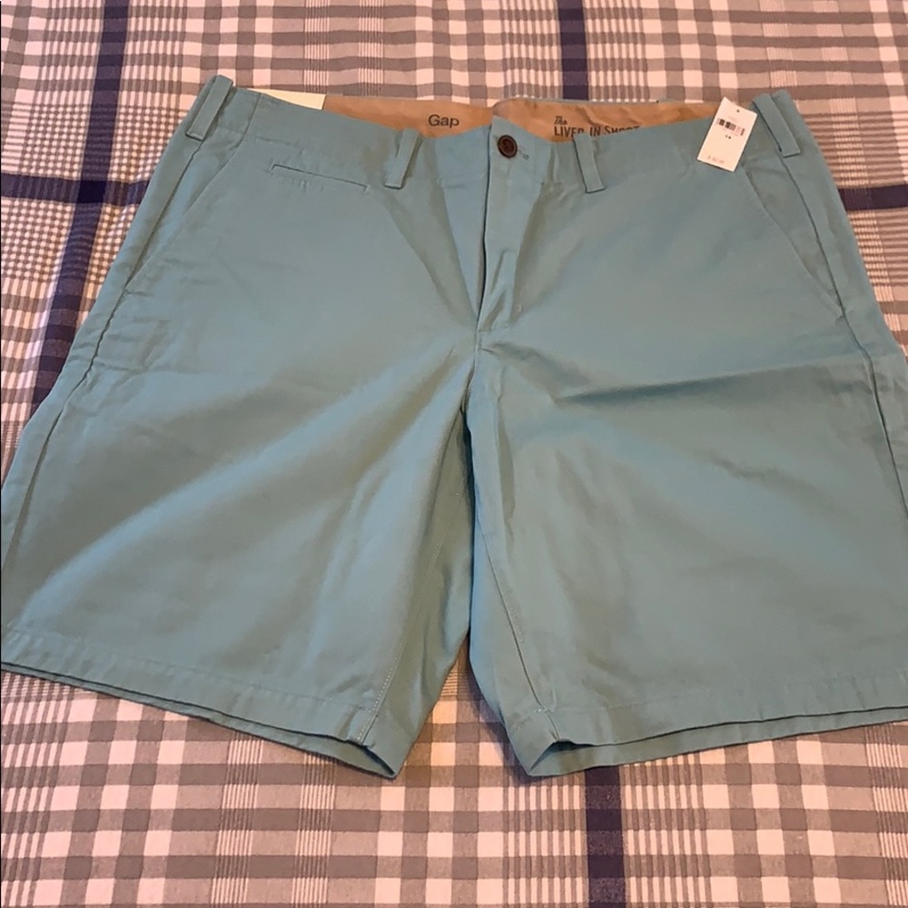 Gap The Lived In Short 38”
